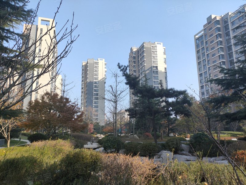 麦岛金岸,东海东路1号-青岛麦岛金岸二手房,租房,房价-青岛安居客