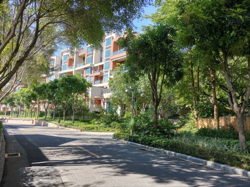 金湖花园(别墅)