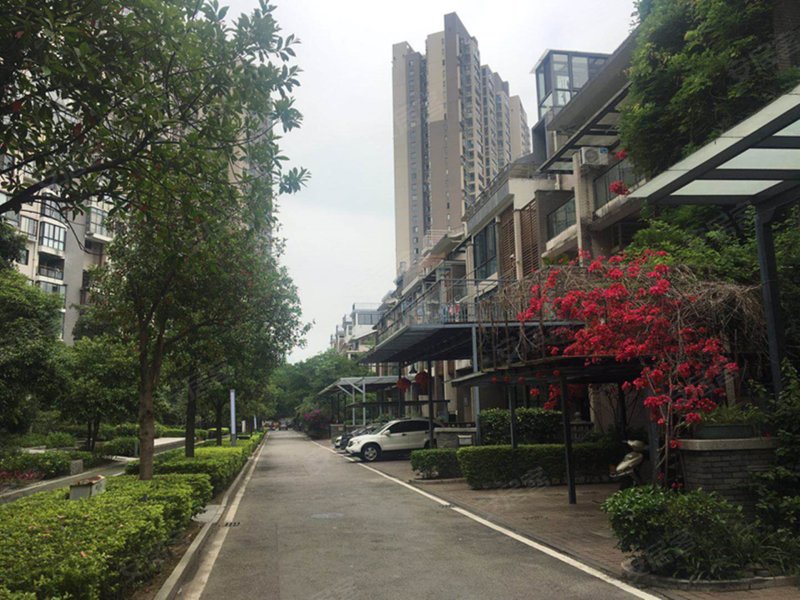 中天金海岸金爵苑天泽江鼎