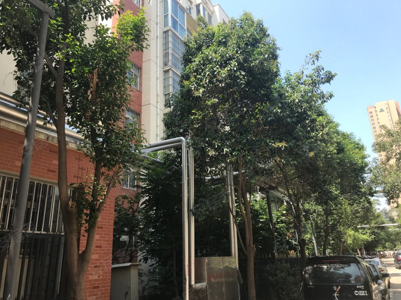 紫荆阳光地带