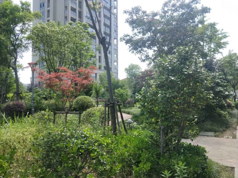 金都豪庭,百崧路-绍兴金都豪庭二手房,租房,房价-绍兴安居客