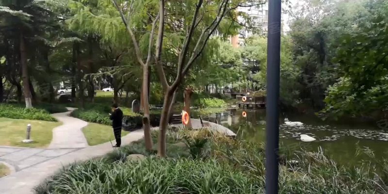 春申景城湖滨晨韵 