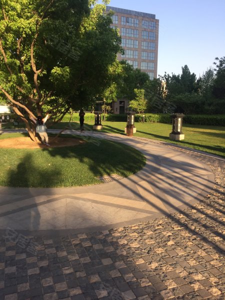 广渠金茂府(西区)