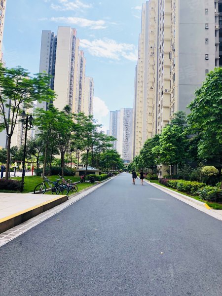 凤凰春天花园,清远大道-清远凤凰春天花园二手房,租房,房价-清远安居