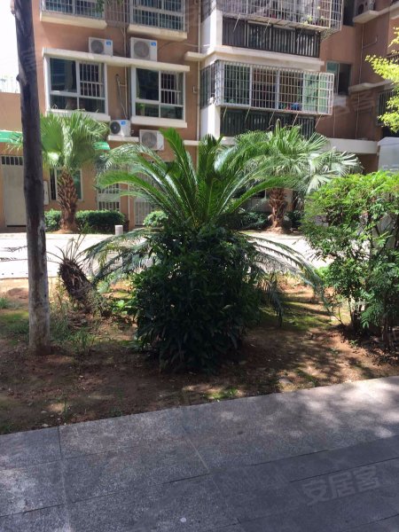 嘉盛花园(湖里),江头东里1-11号-厦门嘉盛花园(湖里)二手房,租房,房价