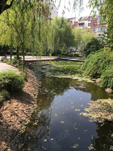 众安山水苑(东区),蜀山路-杭州众安山水苑(东区)二手房,租房,房价