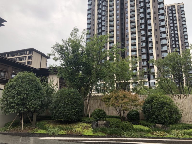 金科联发东悦府