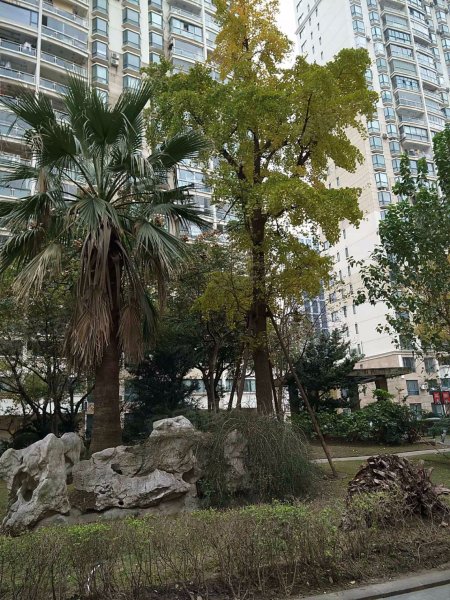 新华红星国际广场 