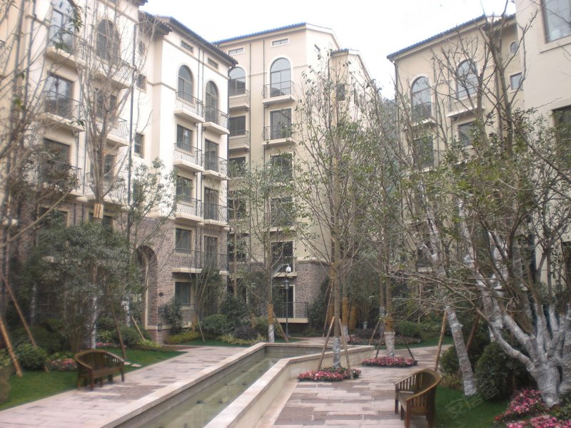 麓山国际帕萨迪纳2组