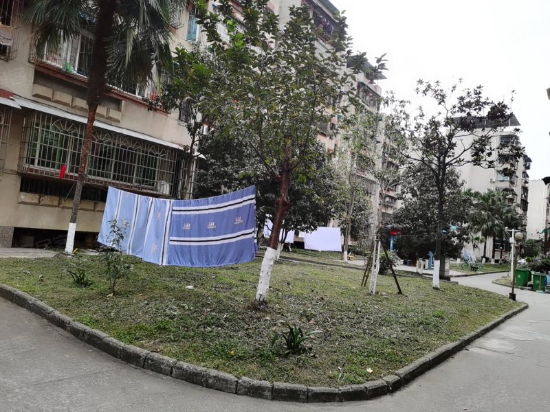 花园小区(涪城),临园路西段5号-绵阳花园小区(涪城)二手房,租房,房价