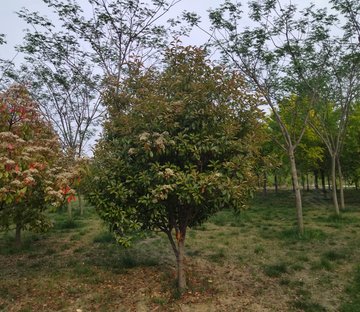 高楼门16号小区