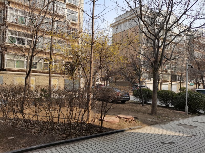 金信银都花园,柳泉路348号-淄博金信银都花园二手房,租房,房价-淄博