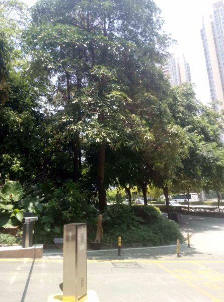 梅州大厦,龙珠大道40号-深圳梅州大厦二手房,租房,房价-深圳安居客