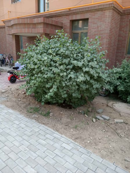 山水佳苑,东河东路-包头山水佳苑二手房,租房,房价-包头安居客