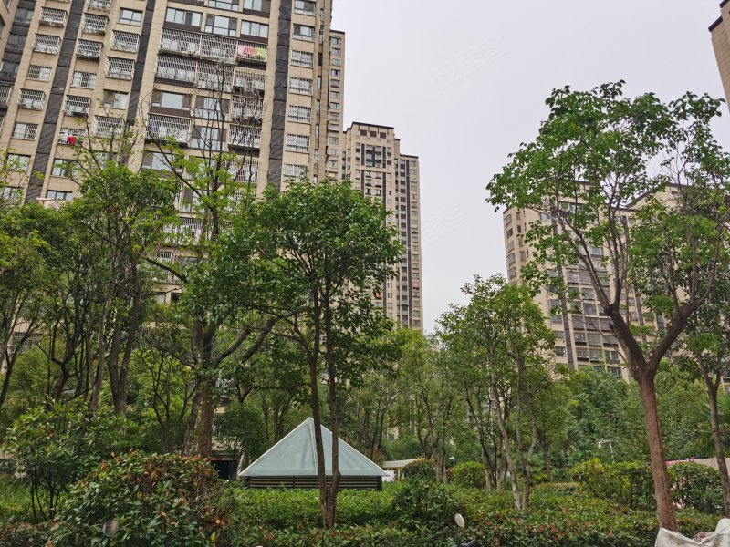 煌庭棕榈湾,奔腾大道-徐州煌庭棕榈湾二手房,租房,房价-徐州安居客