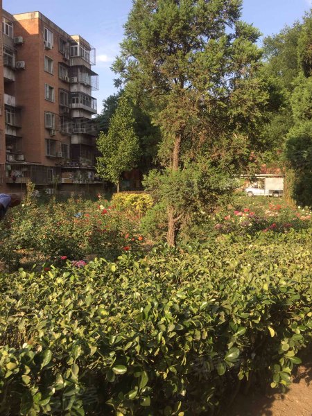 华龙苑中里(北区)