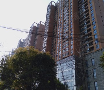 下沙江滨小区图片