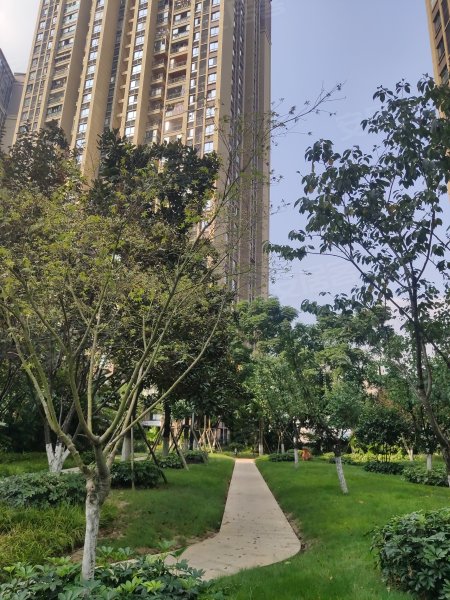 金辉城春上南滨