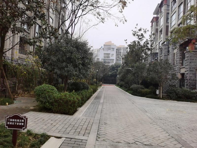 观花府邸,科技路9号-绵阳观花府邸二手房,租房,房价-绵阳安居客