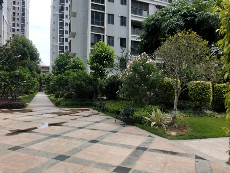 新洲香樟美地,汕樟路128号-汕头新洲香樟美地二手房,租房,房价-汕头
