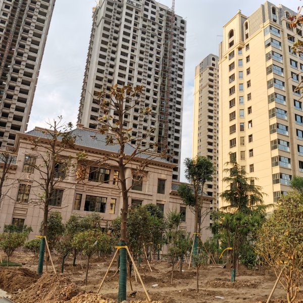 永泰龙泽园,长江路-菏泽永泰龙泽园二手房,租房,房价-菏泽安居客