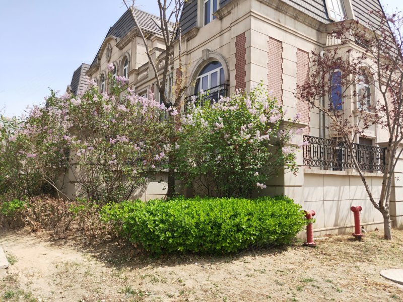 秀兰左岸小镇(别墅)