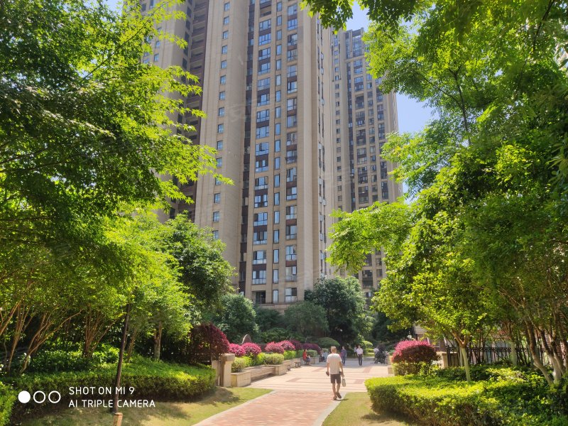 梅溪湖金茂悦(一二期)