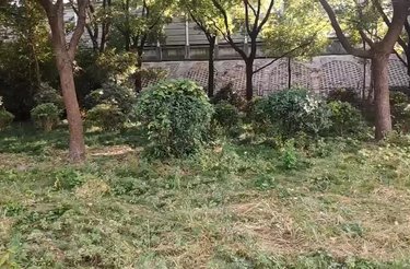 江桥二村一街坊 