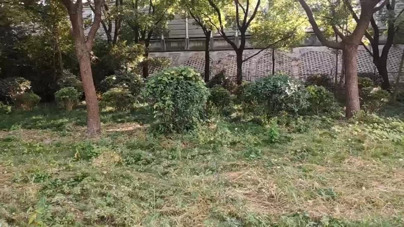 江桥二村一街坊 