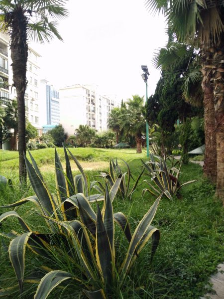 绿景花园,大道中路255号-昆明绿景花园二手房,租房,房价-昆明安居客