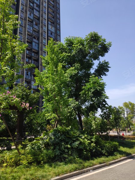 阳光丽苑,港安一路11号-重庆阳光丽苑二手房,租房,房价-重庆安居客