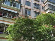 白石洲小区图片