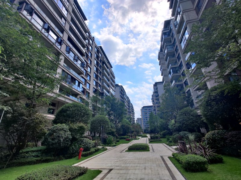 中铁西派城a区,来凤二路28号-成都中铁西派城a区二手房,租房,房价