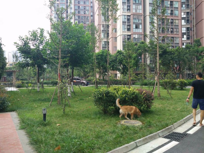 怡馨家园,梓州大道7100号-成都怡馨家园二手房,租房,房价-成都安居客