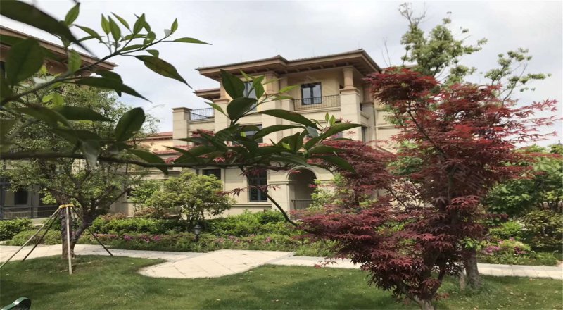 太湖香树湾(别墅),环太湖路208号-常州太湖香树湾(别墅)二手房,租房