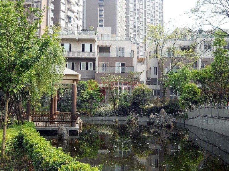 小区图