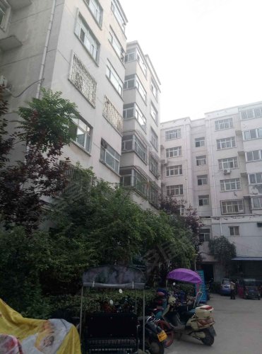 梨园小区,花园北路 - 郑州梨园小区二手房,租房,房价-郑州安居客