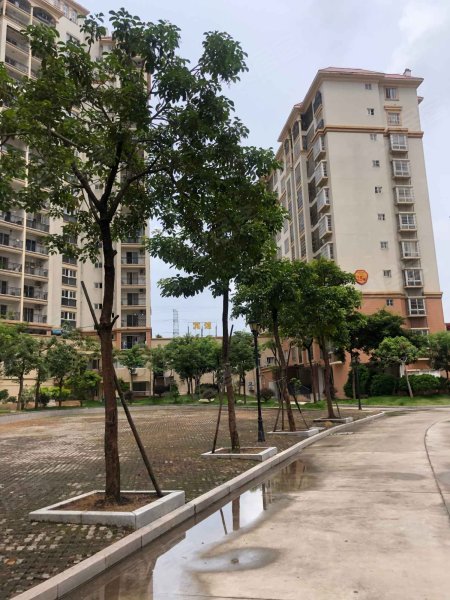 新港城第三社区,内湖街65号-漳州新港城第三社区二手房,租房,房价