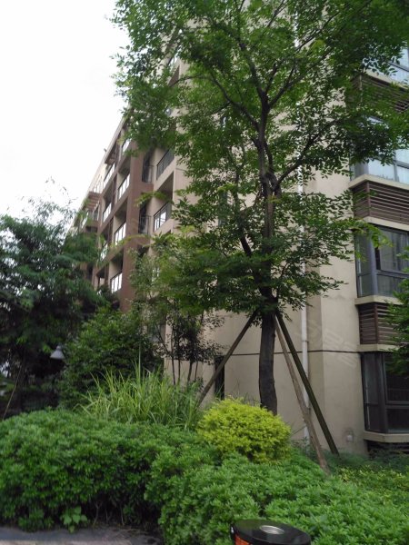 揽江雅苑,虎山路90号-达州揽江雅苑二手房,租房,房价-达州安居客