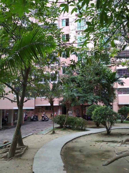 德兴花园,百姓东三路92号-湛江德兴花园二手房,租房,房价-湛江安居客