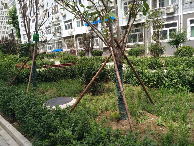 大慧寺8号院,大慧寺路8号-北京大慧寺8号院二手房,租房,房价-北京安居