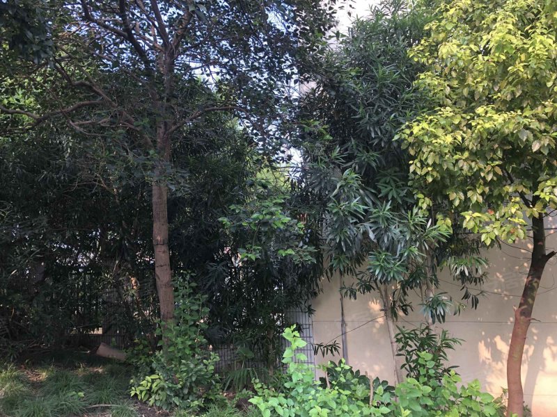 宝杨路3242-3276号小区 