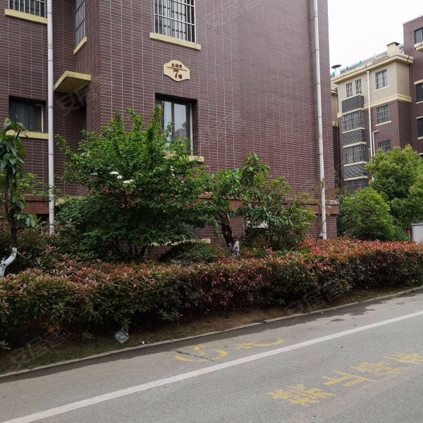 东湖湾(公寓住宅),西昌路2680号-枣庄东湖湾(公寓住宅)二手房,租房