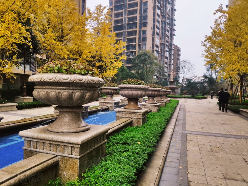 滟澜洲朗悦里,清江路南段-乐山滟澜洲朗悦里二手房,租房,房价-乐山