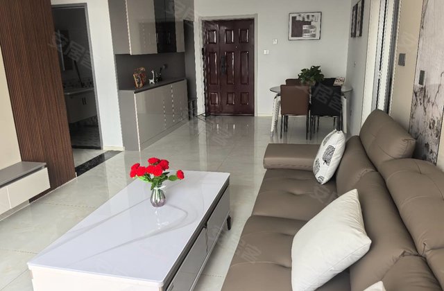 澳林中央世纪城2室2厅97㎡49.8万二手房图片