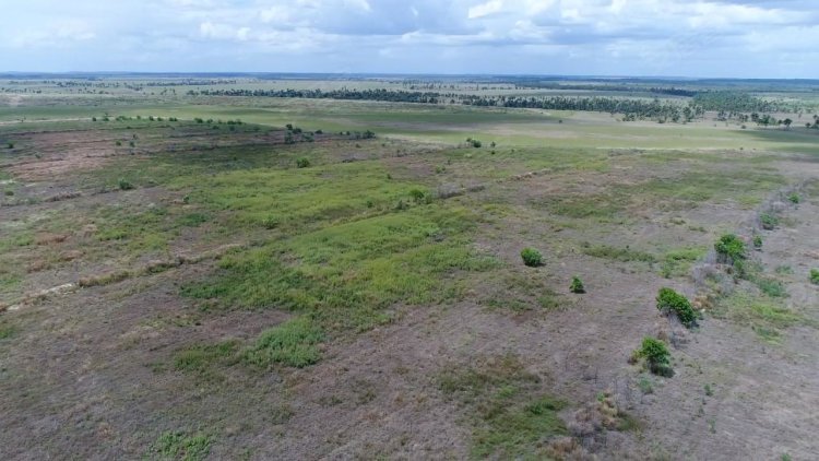 巴西约¥230万出售农业用地地块 - 320公顷，巴西二手房土地图片