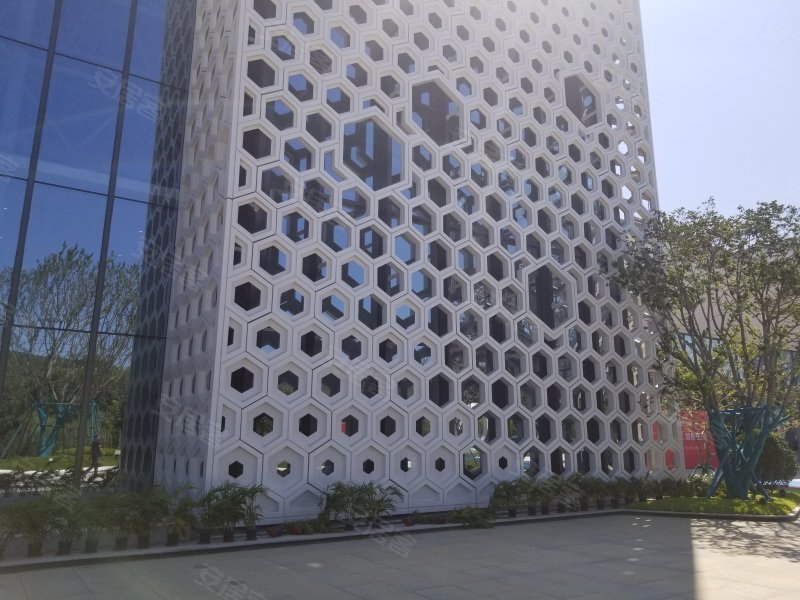 烯谷国际中心,世纪大道