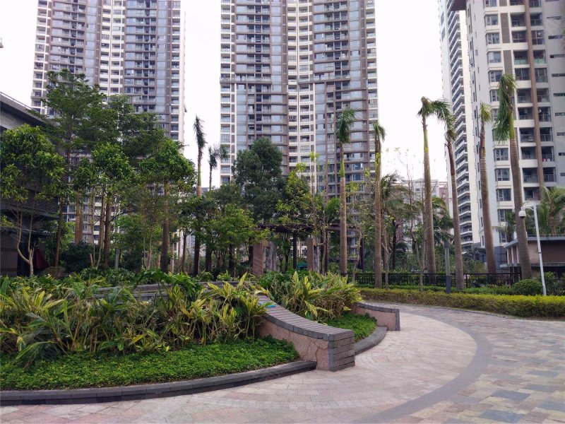 格力香樟