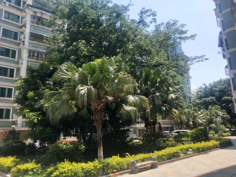 世贸花园东区,金砂东路-汕头世贸花园东区二手房,租房,房价-汕头安居