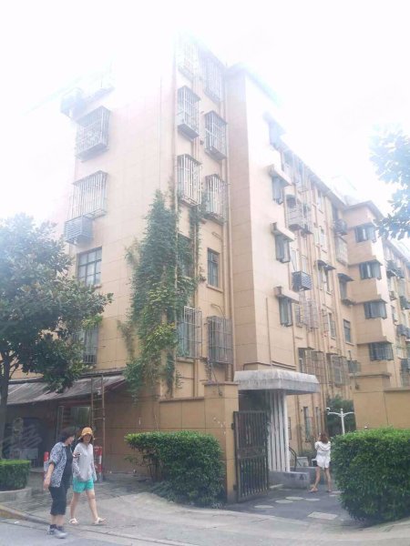 玉兰路71弄小区 